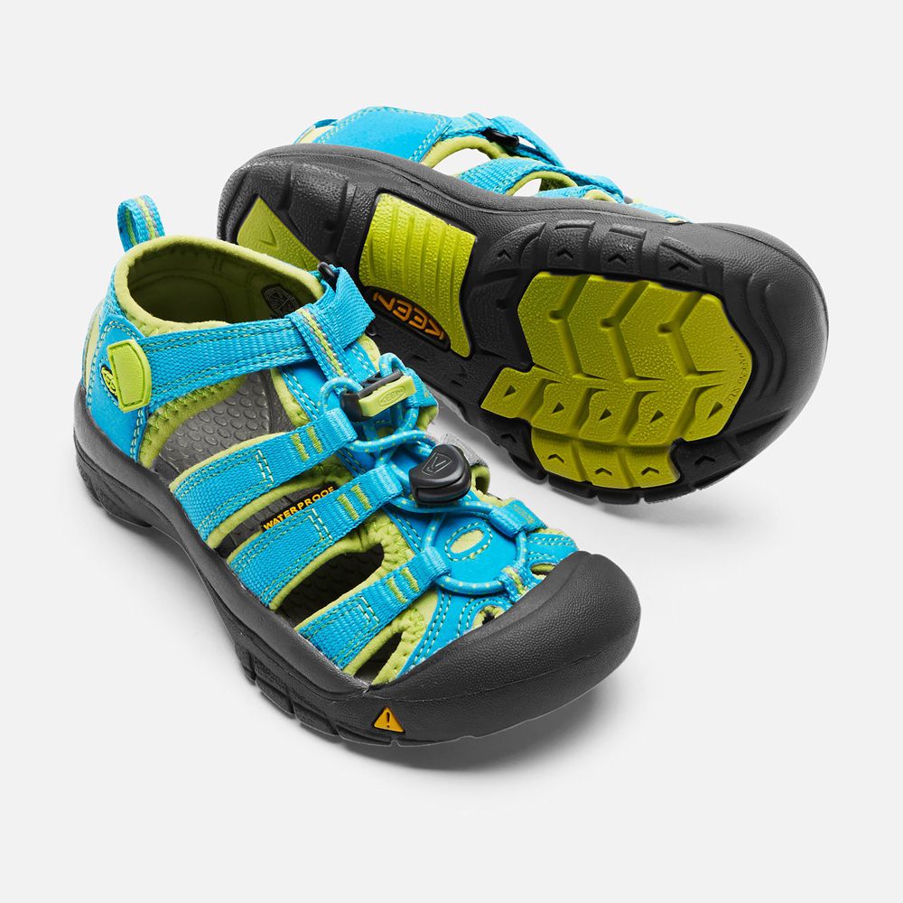 Sandalias Keen Mexico Azules/Verdes - Niños Newport H2 - CM4931872